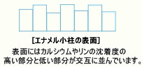 ホワイトニングのメカニズム